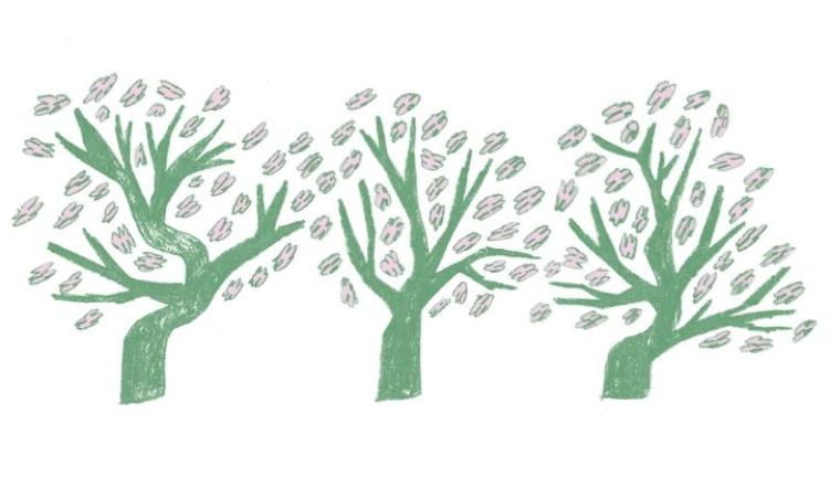 A hand-drawn illustration of some green trees with pink leaves